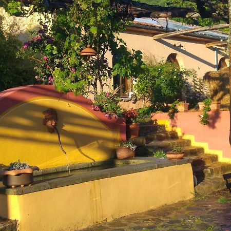 Podere Di Maggio - Glamping Tent 3 Santa Fiora Eksteriør bilde