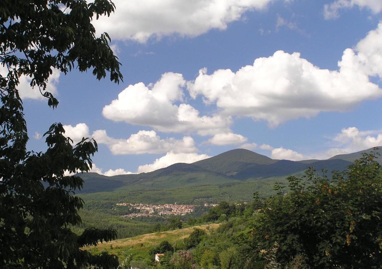Podere Di Maggio - Glamping Tent 3 Santa Fiora Eksteriør bilde