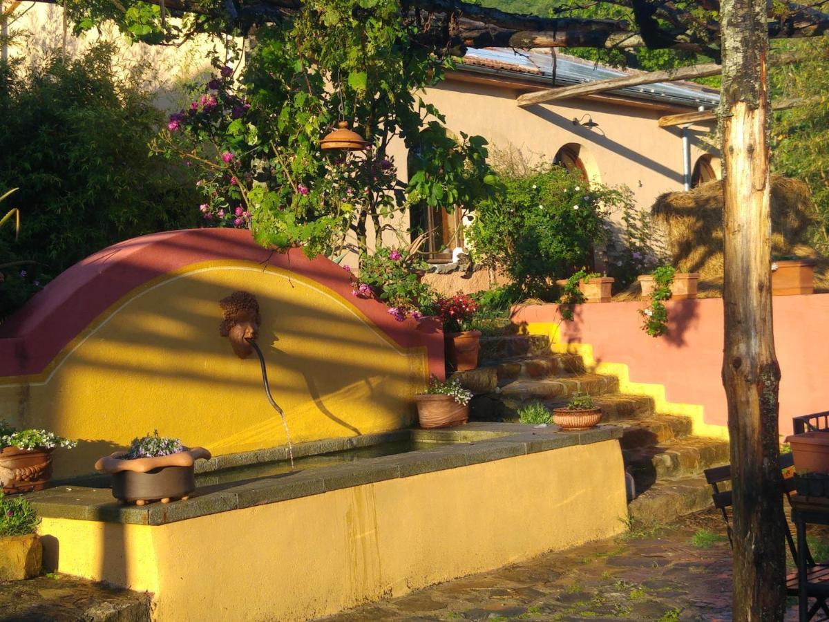 Podere Di Maggio - Glamping Tent 3 Santa Fiora Eksteriør bilde