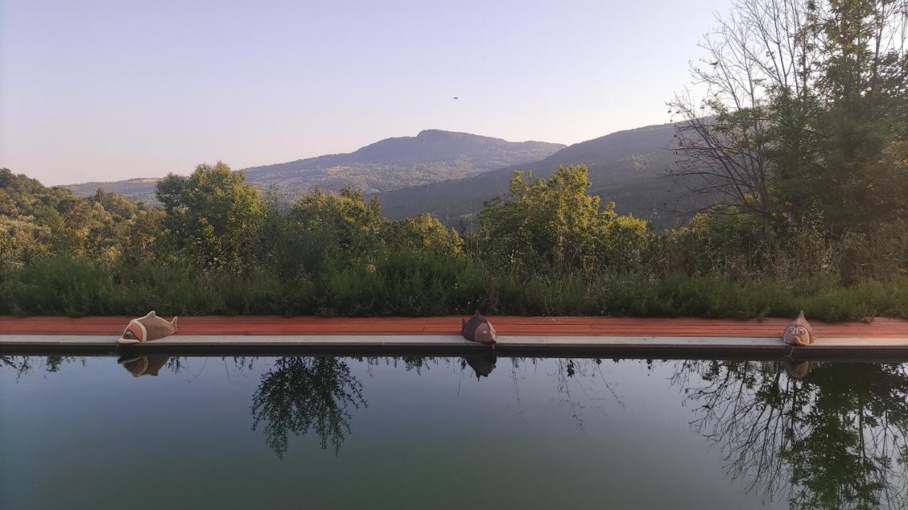 Podere Di Maggio - Glamping Tent 3 Santa Fiora Eksteriør bilde